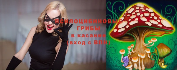 метадон Инсар
