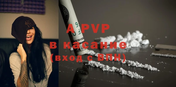 PSILOCYBIN Белоозёрский