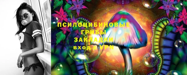 бутират Белокуриха