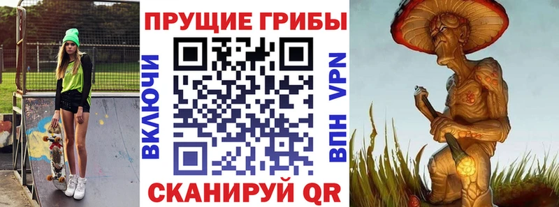 MEGA ССЫЛКА  Кукмор  Псилоцибиновые грибы GOLDEN TEACHER 